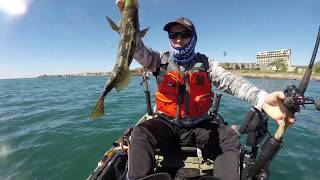 HB-1-Calico and sandbass kayak fishing 24-Feb-2019