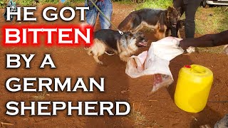 DO YOU DEWORM YOUR DOGS? PETS? /GERMAN SHEPHERD PUPPY TRAINING / NAIROBI KENYA 2021