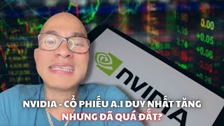 Nvidia - cổ phiếu A.I duy nhất tăng, nhưng đã quá đắt?