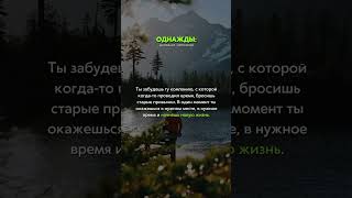 Не переживай, ты на верном пути ❤️ #shortvideo #shortsvideo #youtubeshorts #успех #motivation #рек