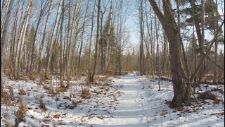 December Trail Loop Walk, North Bay, Ontario