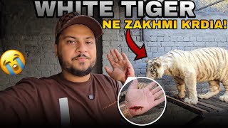 Shooter Ny Dangerous Attack Kr Dia 😭 | White Tiger sy Khelna Mehnga Parh Gya 😑 | Nouman Hassan