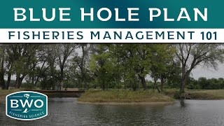 Blue Hole Plan and Design - Fisheries Science 101