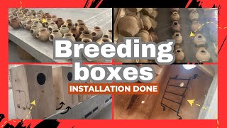 BREEDING SEASON START-BREEDING BOXES INSTALLED