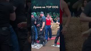 Потасовка на TOP DOG! Вмешались Регбист и охрана #shorts