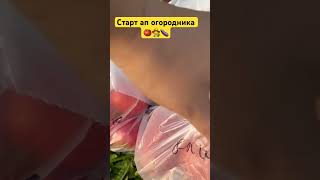 Начало старт апа огородника 👩‍🌾🍅🍆 #тульскийфермер #дача #влог #огород #овощи #сад #томаты