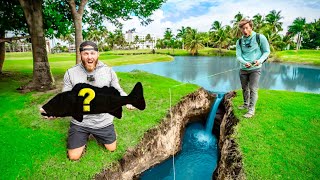 FINDING GIANT Fish in TINY ISLAND PONDS! (Island vs Island Challenge)