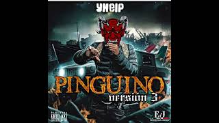 para el pinguino v3