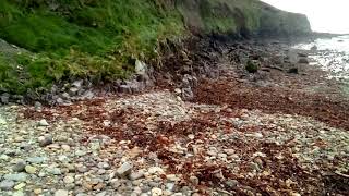 Ballyvoyle cove 1. Easter 2022