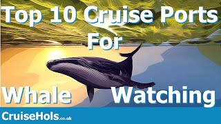 Top 10 Cruise Ports For Whale Watching | CruiseHols Guide To Top Whale Watching Locations