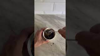 How to make very big OREO #cooking #food