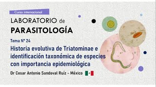 Tema n° 24:  Historia evolutiva de Triatominae e identificación taxonómica de especies