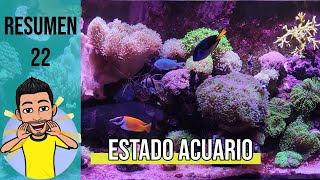 🔵RESUMEN Nº22 | ESTADO DEL ACUARIO