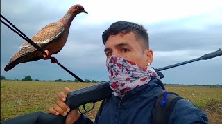 CAZA de PALOMAS con SR1000!🎯🕊️ (cazando en la lluvia⛈️) @Caza1994