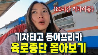 킬리만자로 트레킹⛰️ 아프리카 사파리🦁 빅토리아폭포💧까지 아프리카 육로종단 2시간 몰아보기 ⏰