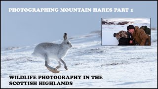 Mountain Hare Photography-Wildlife Photography In The Scottish Highlands