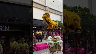 LION DANCE PERFORMANCE 2024 @Gurney Plaza