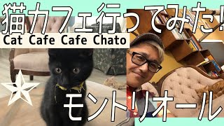 モントリオールの猫カフェに行ってみた！