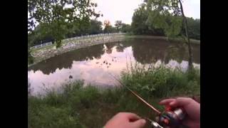 Fishing at Allen's Pond