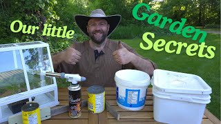 How to never have to pull weeds again + other Garden Tips & Tricks