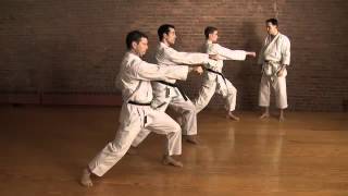 Shotokan Mastery Volume 5