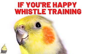 IF YOU'RE HAPPY with WHISTLE 1 HOUR - Whistling Songs - Cockatiel Singing Training #whistle