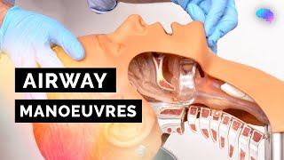 Airway Manoeuvres (BLS) | Head-Tilt & Chin-Lift | Jaw Thrust | ABCDE Emergency | OSCE Guide | PLAB 2