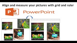 Align and measure your pictures with ruler and grid: video 69