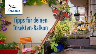 5 Tipps für deinen Insekten-Balkon