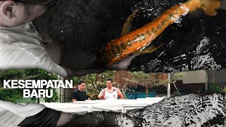 Kesempatan Baru di Kolam Red Dragon Cianjur [ RDC Arowana ]