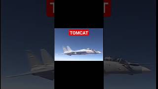 tomcat