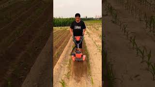 Machine Factory #Mountain Orchard Greenhouse Special Micro-tillage Machine