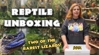 Unboxing Rare Reptiles - Sailfin Dragon & Uromastyx Lizard