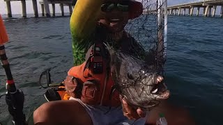 How to fillet a Big fish in 5 minutes