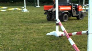 Trot Fence SANY0028.MP4