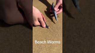 Beach worms 🪱#AmazingVideo #amazing #magic #foryou #viral #trending