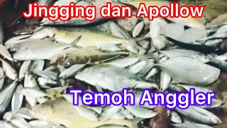 GENG SAKAU IKAN PULAU 9 BEGASAK KATA DEMA