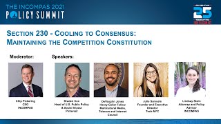 Section 230 - Cooling to Consensus: Maintaining the Competition Constitution