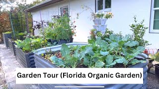 Tour of my Organic Vegetables Garden November