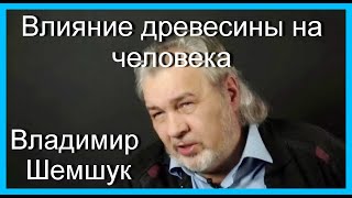 Влияние древесины на человека. Владимир Шемшук