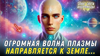 ЗВЕЗДНЫЕ СЕМЕНА, ВОТ КАК ВЫ БУДЕТЕ ГОТОВИТЬСЯ...