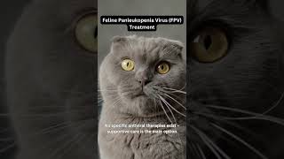 Feline Panleukopenia Virus (FPV) Treatment