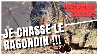 CHASSE AUX RAGONDINS !! Découverte macabre 😱😱