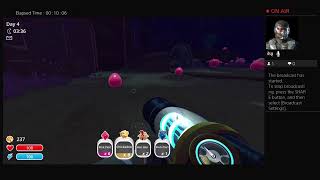 Slime Rancher with Agent-twinkletoe