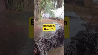 Monsoon Rain #travel #vlog #bambolimbeach