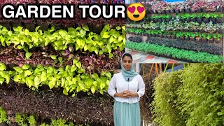 ഒരു കിടിലൻ ചെടി വീട്😍|Small space garden tour|Garden ideas|Garden tour malayalam |