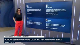 Transição entre "Band Cidade" e "Jornal da Band" de 28/08/2023 na Band Brasília