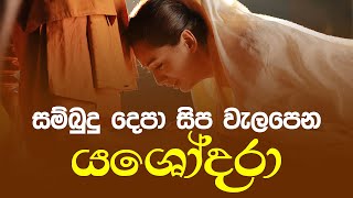 Yashodara Kavi | සම්බුදු දෙපා සිප වැළපෙන යශෝධරා | Sambudu Depa Sipa Walapena Yashodara | සංවේදී කවි