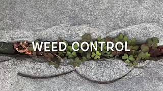 Natural weed control