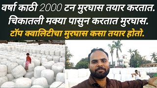 वर्षा काठी विकतात 2000 टन मुरघास, कसा तयार होतो मुरघास सविस्तर माहिती:shambhavi agro sailage making: